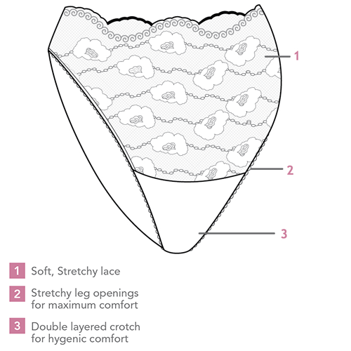 Carriwell Lace Stretch Panties Close Up Illustration