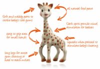Sophie The Giraffe Diagram