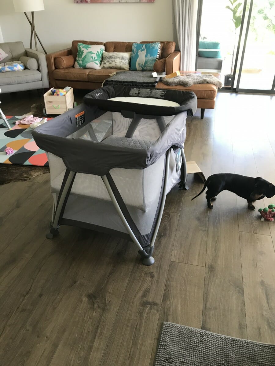 Nuna Sena 2 in 1 Portacot Bubs n Grubs