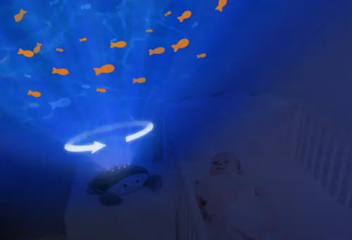 Zazu Ocean Projector Cody Lifestyle 2 Zazu Ocean Projector Cody Lifestyle 2