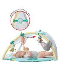 Skip Hop Tropical Paradise Activity Gym & Soother Canopy And Mirror