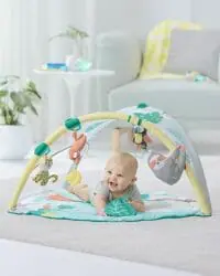 Skip Hop Tropical Paradise Activity Gym & Soother Lifestyle