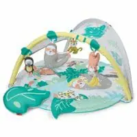 Skip Hop Tropical Paradise Activity Gym Soother Hero