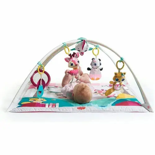 Tiny Love Tiny Princess Tales Gymini Deluxebaby On Back Tiny Love Tiny Princess Tales Gymini Deluxebaby On Back