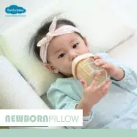 Comfy Baby New Born Baby Pillow Info