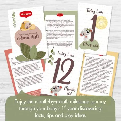 Tiny Love Boho Chic Luxe Gymini Milestones Card Tiny Love Boho Chic Luxe Gymini Milestones Card