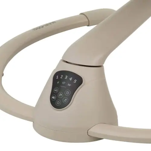 Maxi Cosi Cassia Swing Controls Maxi Cosi Cassia Swing Controls