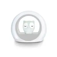 Zazu Lou The Owl Nightlight Grey Product Shot Front Lr