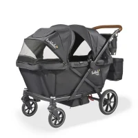 Larktale Caravan Coupe V2 Angle Larktale Caravan Coupe V2 Angle