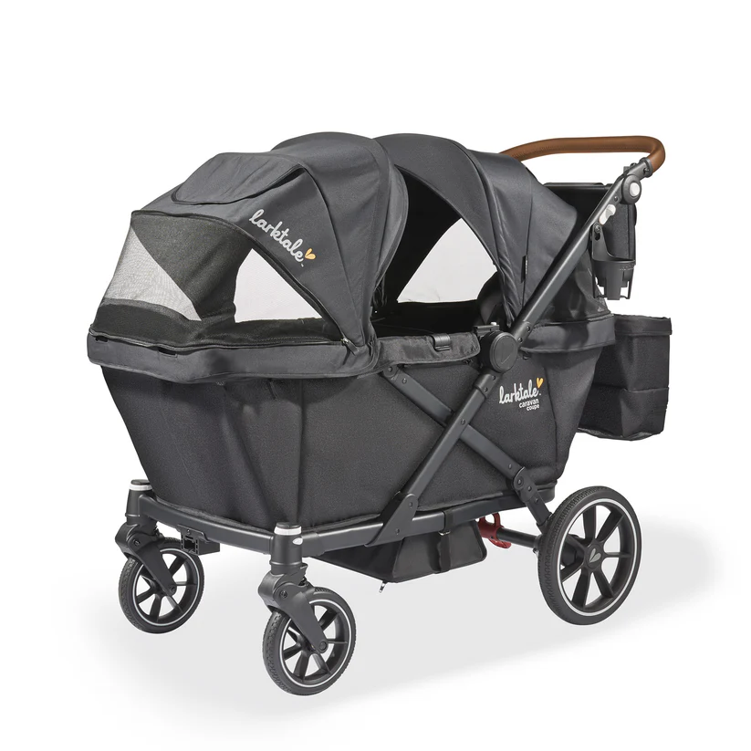 Larktale Caravan Coupe V2 Angle