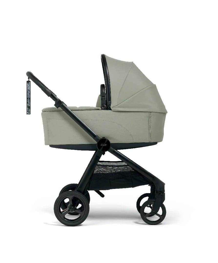 50591sg00 08 Vardo Sage