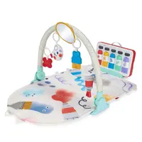 Skip Hop Painted Dreams Complete Play Gym Skip Hop Painted Dreams Activity Gym with arch, hanging toys, mirror and musical paint box