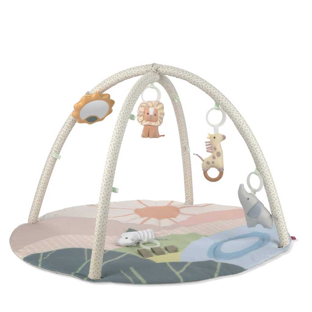 Skip Hop Savannah Sunset Activity Gym Main Product View
